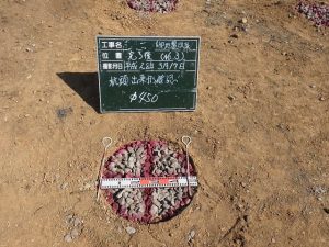 A様邸地盤改良工事